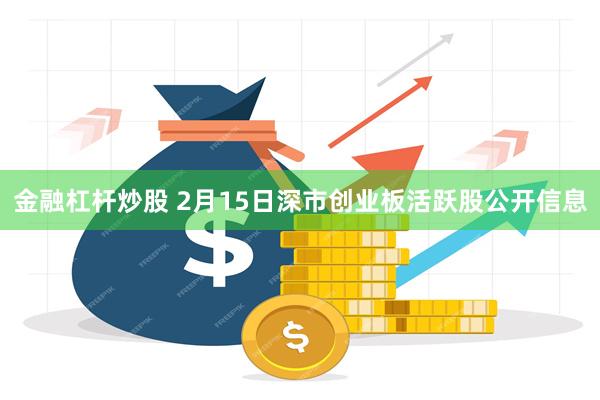 金融杠杆炒股 2月15日深市创业板活跃股公开信息