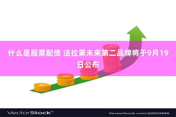 什么是股票配债 法拉第未来第二品牌将于9月19日公布