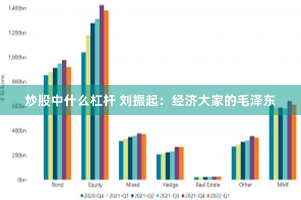 炒股中什么杠杆 刘振起：经济大家的毛泽东