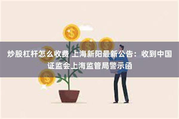 炒股杠杆怎么收费 上海新阳最新公告：收到中国证监会上海监管局警示函