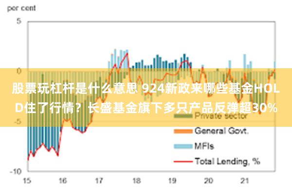 股票玩杠杆是什么意思 924新政来哪些基金HOLD住了行情？长盛基金旗下多只产品反弹超30%