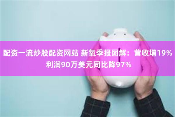 配资一流炒股配资网站 新氧季报图解：营收增19% 利润90万美元同比降97%