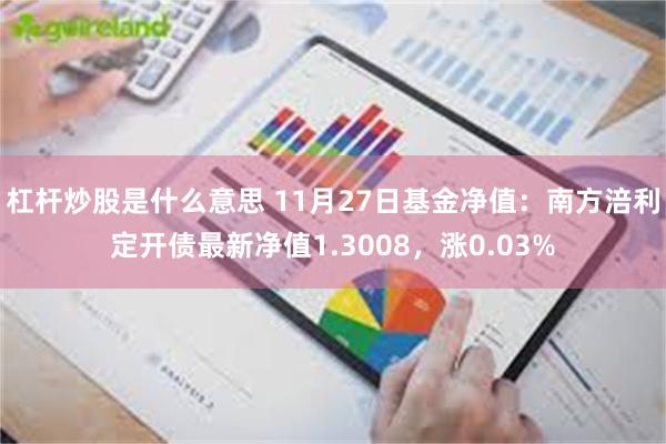 杠杆炒股是什么意思 11月27日基金净值：南方涪利定开债最新净值1.3008，涨0.03%